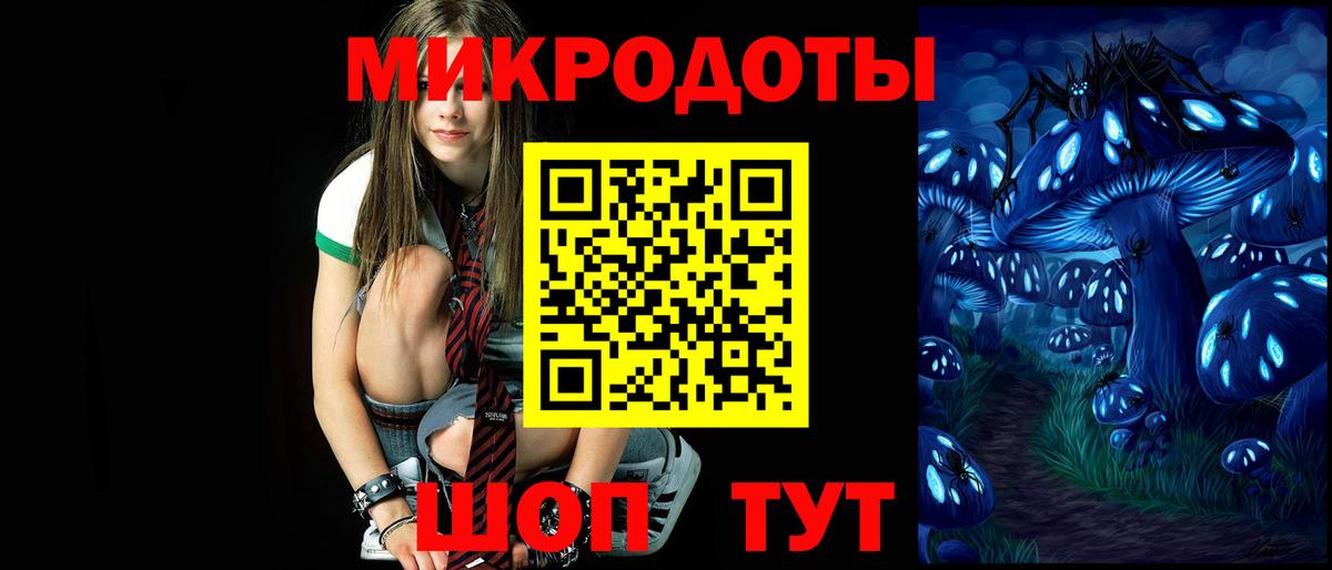 Галлюциногенные грибы Cubensis Шахты